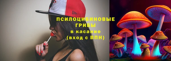 дживик Вязники