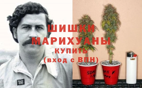дживик Вязники