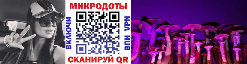 Псилоцибиновые грибы прущие грибы  Горячеводский 